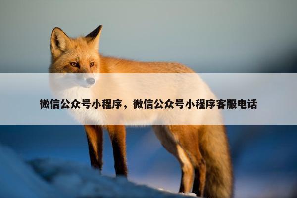 微信公众号小程序，微信公众号小程序客服电话