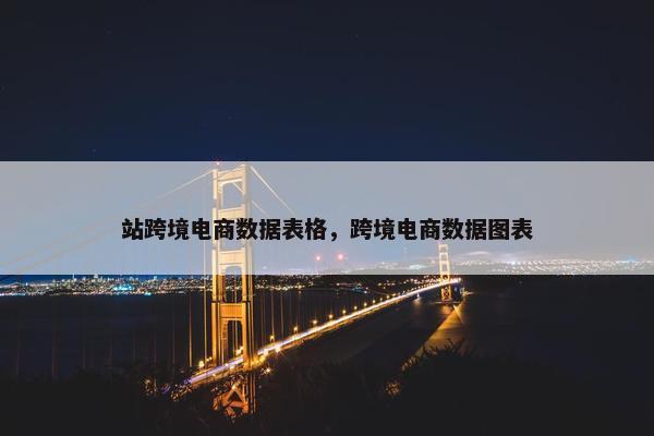 站跨境电商数据表格，跨境电商数据图表