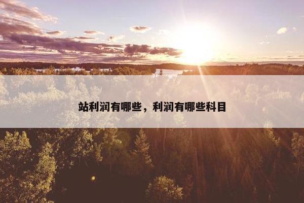 站利润有哪些，利润有哪些科目