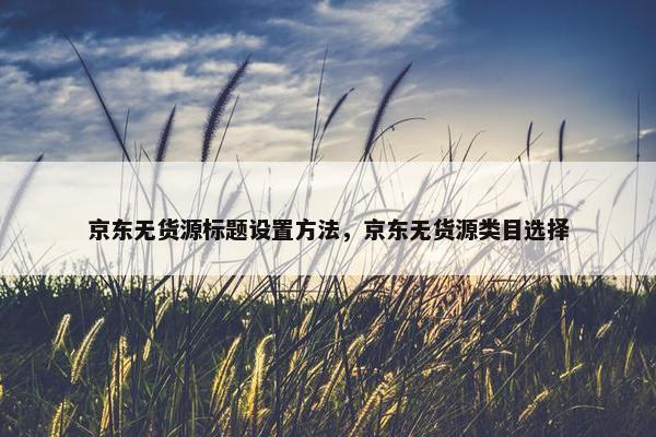 京东无货源标题设置方法，京东无货源类目选择