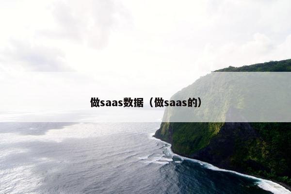 做saas数据（做saas的）