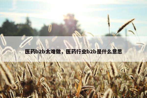 医药b2b太难做，医药行业b2b是什么意思