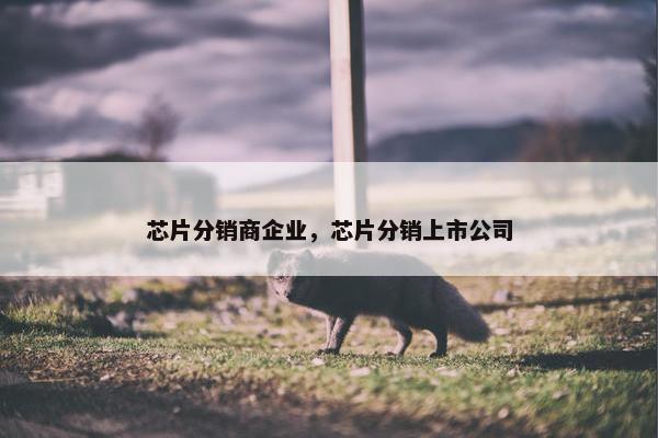 芯片分销商企业，芯片分销上市公司