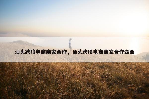 汕头跨境电商商家合作，汕头跨境电商商家合作企业