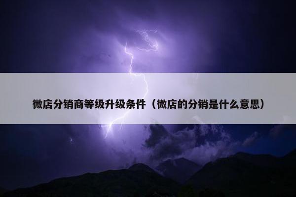 微店分销商等级升级条件（微店的分销是什么意思）