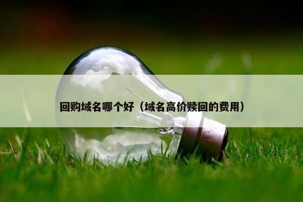 回购域名哪个好（域名高价赎回的费用）