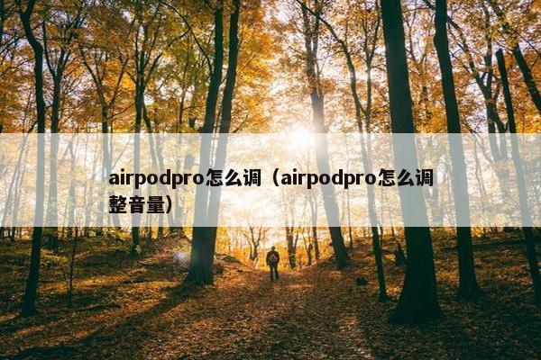 airpodpro怎么调（airpodpro怎么调整音量）