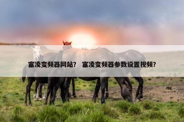 富凌变频器网站？ 富凌变频器参数设置视频？