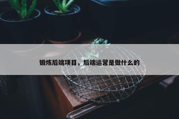 锻炼后端项目，后端运营是做什么的