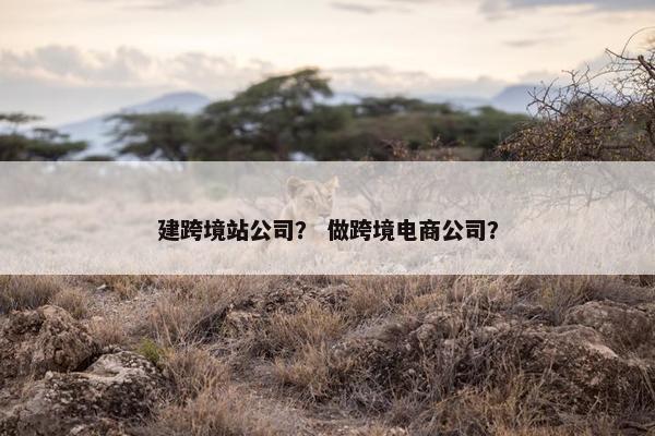 建跨境站公司？ 做跨境电商公司？