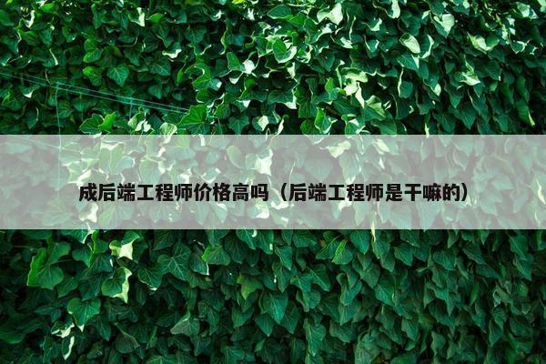 成后端工程师价格高吗（后端工程师是干嘛的）