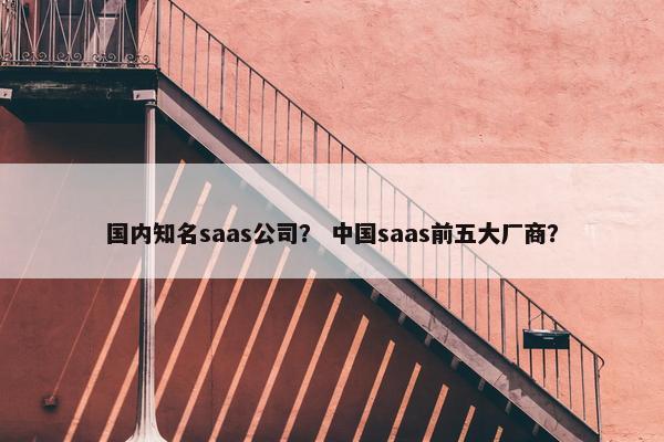 国内知名saas公司？ 中国saas前五大厂商？