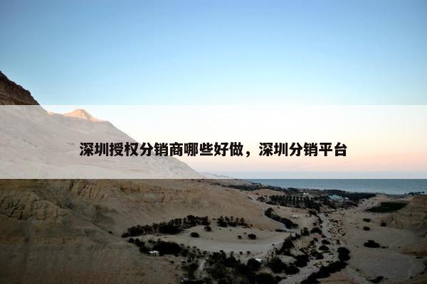 深圳授权分销商哪些好做，深圳分销平台