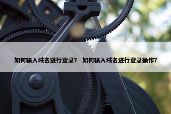如何输入域名进行登录？ 如何输入域名进行登录操作？