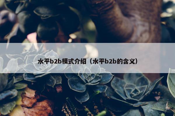 水平b2b模式介绍（水平b2b的含义）