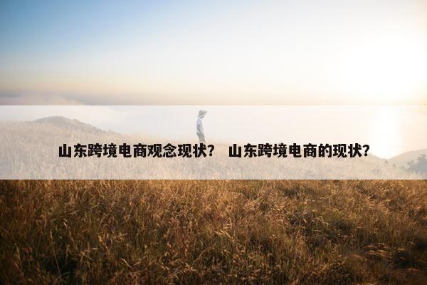 山东跨境电商观念现状？ 山东跨境电商的现状？