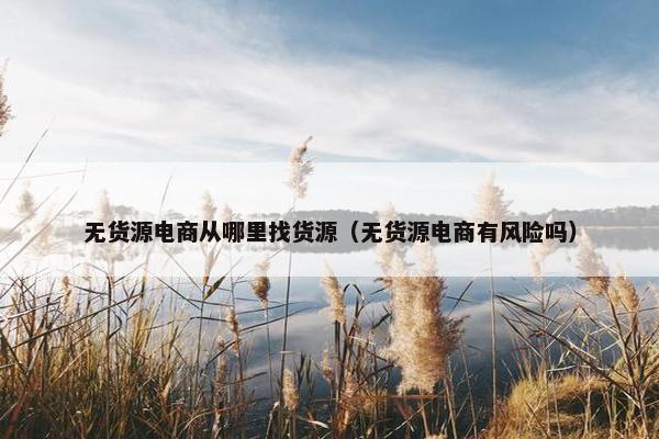 无货源电商从哪里找货源（无货源电商有风险吗）