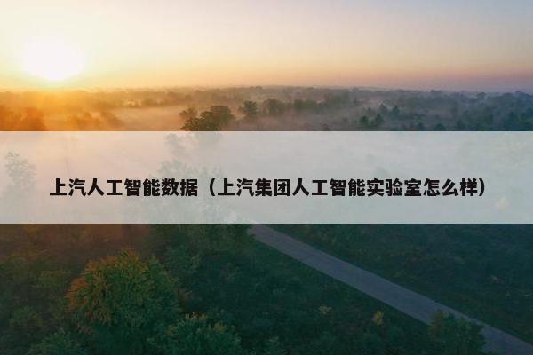 上汽人工智能数据（上汽集团人工智能实验室怎么样）