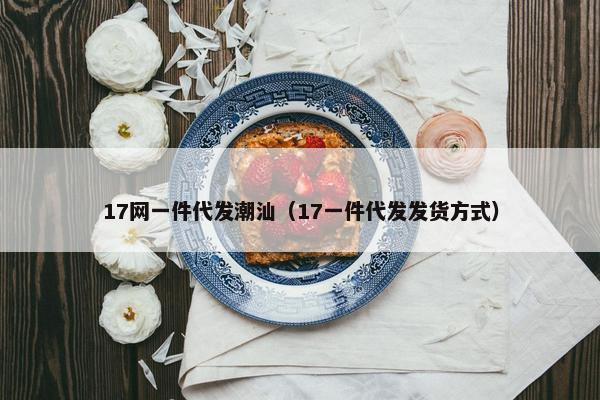 17网一件代发潮汕（17一件代发发货方式）