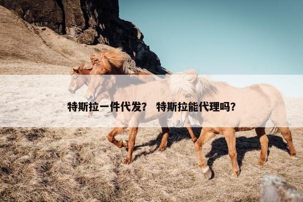 特斯拉一件代发？ 特斯拉能代理吗？