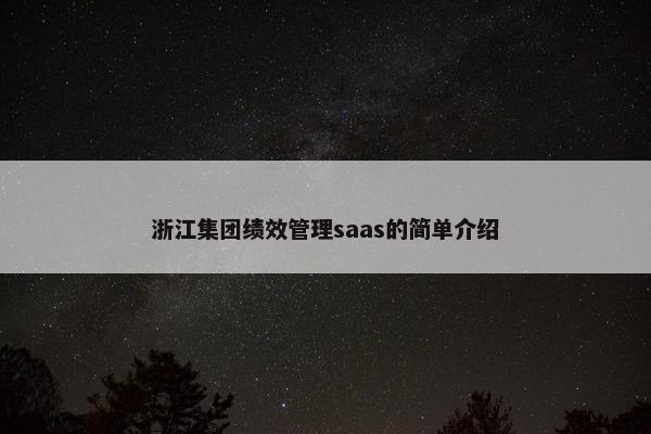 浙江集团绩效管理saas的简单介绍