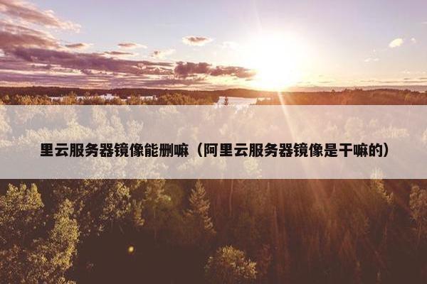 里云服务器镜像能删嘛（阿里云服务器镜像是干嘛的）