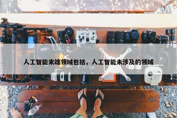 人工智能末端领域包括，人工智能未涉及的领域