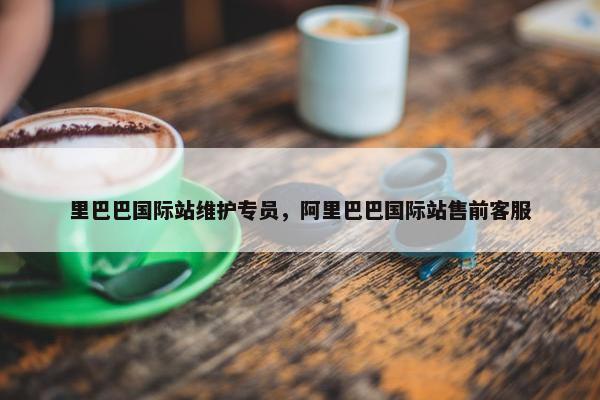 里巴巴国际站维护专员，阿里巴巴国际站售前客服