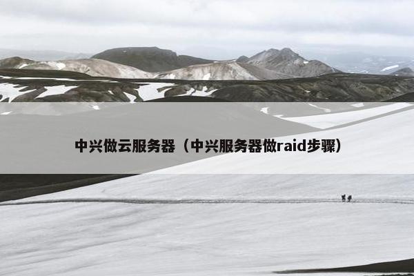 中兴做云服务器（中兴服务器做raid步骤）