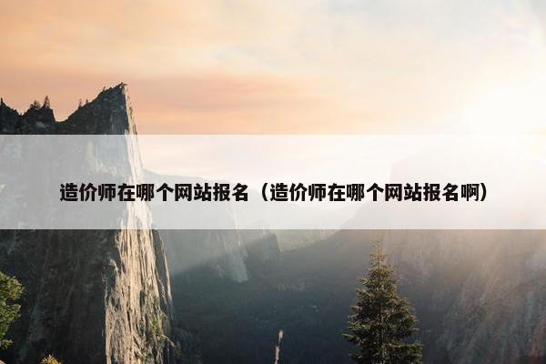 造价师在哪个网站报名（造价师在哪个网站报名啊）