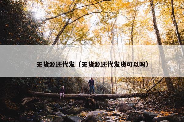 无货源还代发（无货源还代发货可以吗）