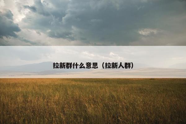 拉新群什么意思（拉新人群）