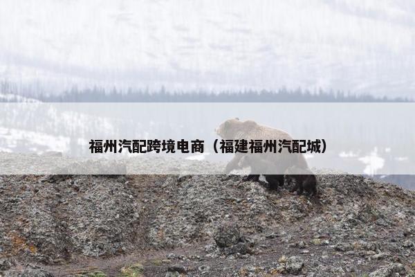 福州汽配跨境电商（福建福州汽配城）