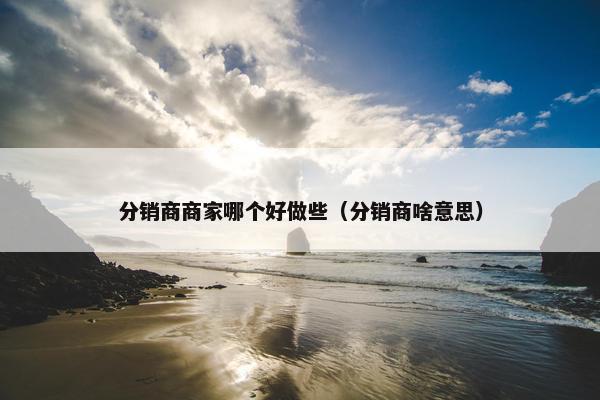 分销商商家哪个好做些（分销商啥意思）