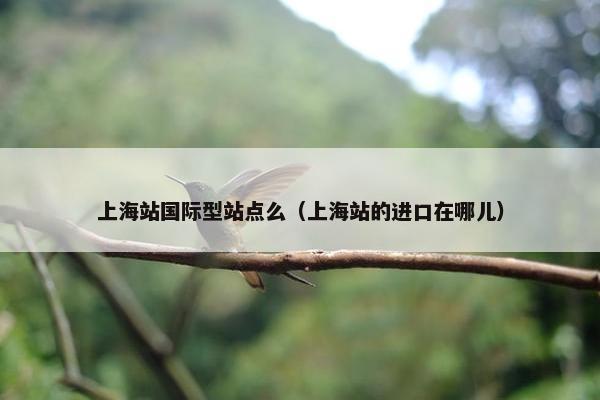 上海站国际型站点么（上海站的进口在哪儿）