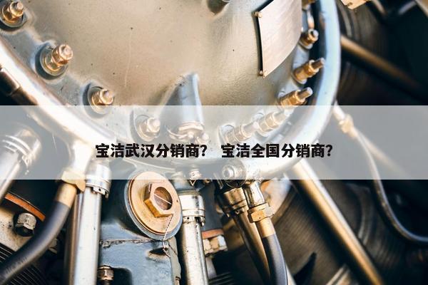 宝洁武汉分销商？ 宝洁全国分销商？