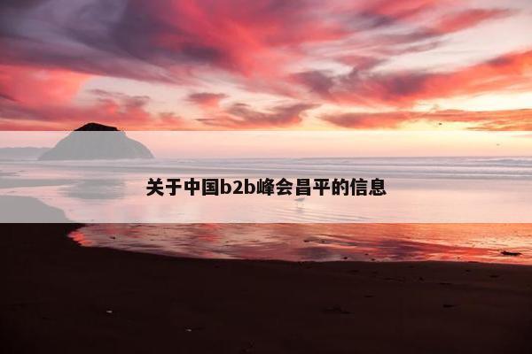 关于中国b2b峰会昌平的信息