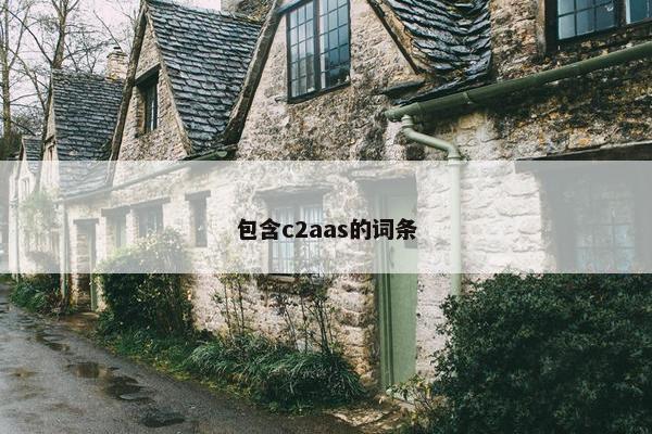 包含c2aas的词条