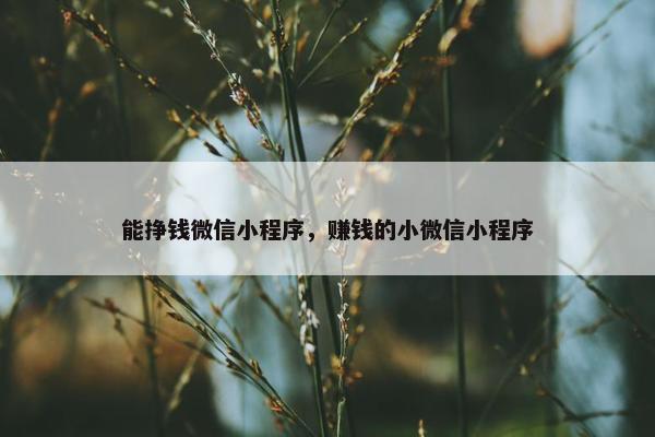 能挣钱微信小程序，赚钱的小微信小程序