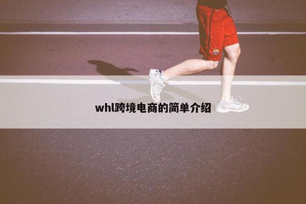 whl跨境电商的简单介绍