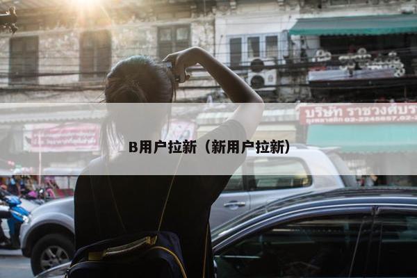 B用户拉新（新用户拉新）