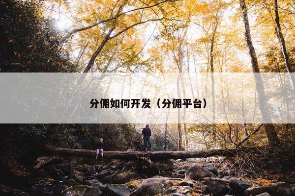 分佣如何开发（分佣平台）