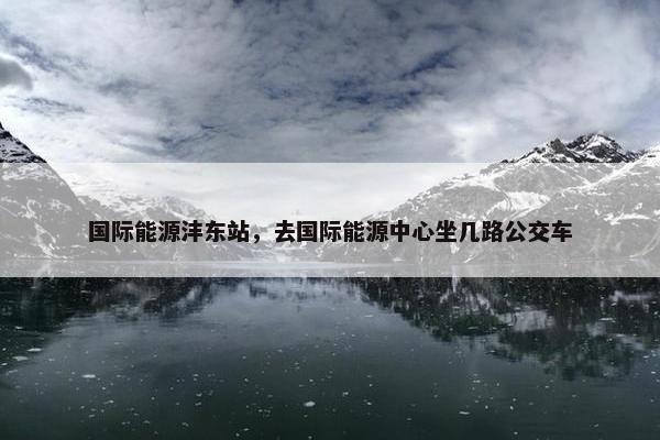 国际能源沣东站，去国际能源中心坐几路公交车