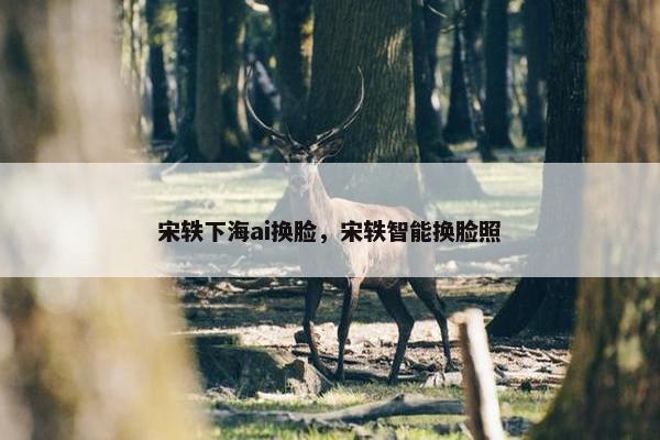 宋轶下海ai换脸，宋轶智能换脸照