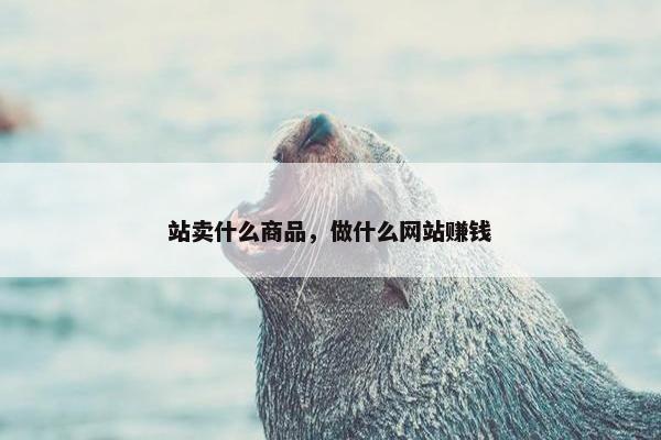 站卖什么商品，做什么网站赚钱