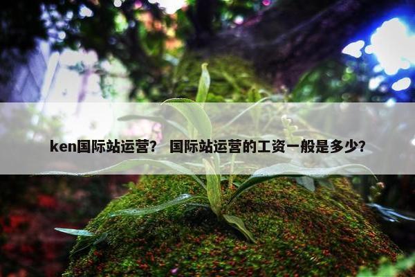 ken国际站运营？ 国际站运营的工资一般是多少？
