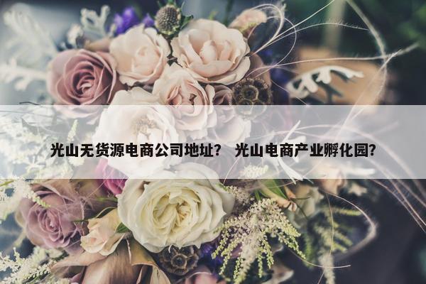光山无货源电商公司地址？ 光山电商产业孵化园？