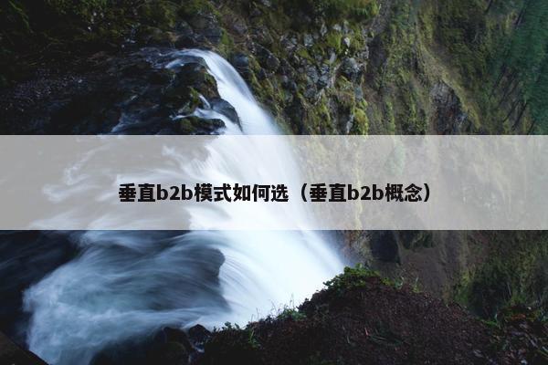 垂直b2b模式如何选（垂直b2b概念）