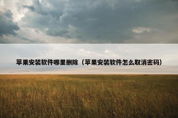 苹果安装软件哪里删除（苹果安装软件怎么取消密码）