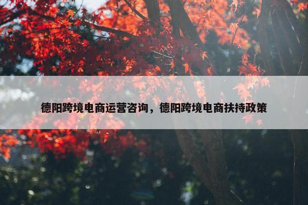 德阳跨境电商运营咨询，德阳跨境电商扶持政策